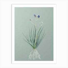 Vintage Blue Corn Lily Botanical Art on Mint Green n.0864 Art Print