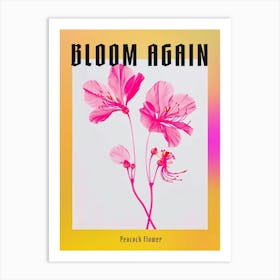 Hot Pink Peacock Flower 2 Poster Art Print