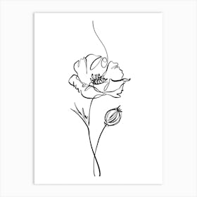 Poppy Line Drawing Art Print