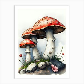 Watercolor Illustration Of Mushrooms Art Print