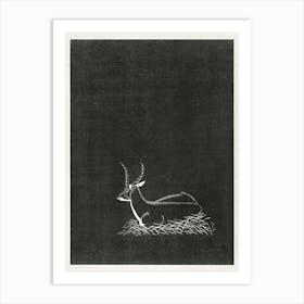 Waterbuck (Waterbok) (1921), Samuel Jessurun Art Print