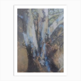 Eucalyptus Tree Art Print