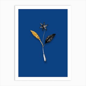Vintage Erythronium Black and White Gold Leaf Floral Art on Midnight Blue Art Print