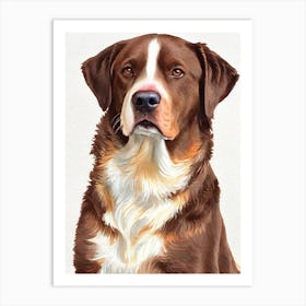 Chesapeake Bay Retriever 4 Watercolour Dog Art Print