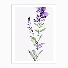 Violet Herb Minimalist Watercolour 2 Art Print