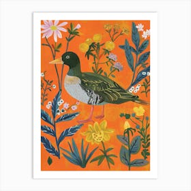 Spring Birds Coot 3 Art Print