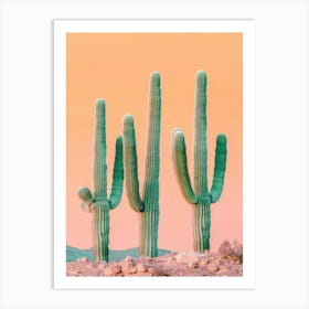 Cactus 532 Art Print