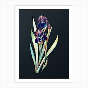 Vintage German Iris Botanical Watercolor Illustration on Dark Teal Blue n.0653 Art Print