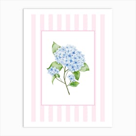 Pink And Blue Hydrangea 1 Art Print