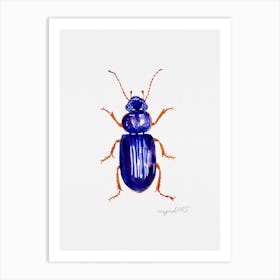 Ophonus minimus, a ground beetle, watercolor artwork Art Print