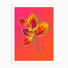 Neon Witch Hazel Botanical in Hot Pink and Electric Blue n.0400 Art Print