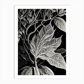 Osage Orange Leaf Linocut 3 Art Print