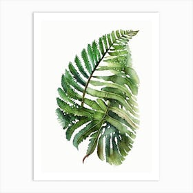 Southern Shield Fern Watercolour Art Print