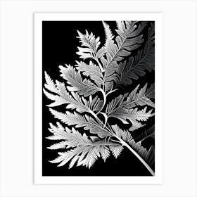Tansy Leaf Linocut 2 Art Print