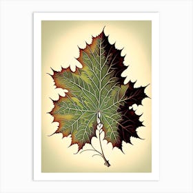 Maple Leaf Vintage Botanical 4 Art Print