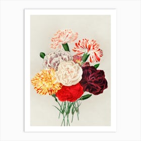 Carnations 4 Art Print