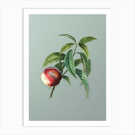 Vintage Peach Botanical Art on Mint Green n.0970 Art Print