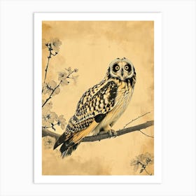 Short Eared Owl Vintage Illustration 1 Art Print