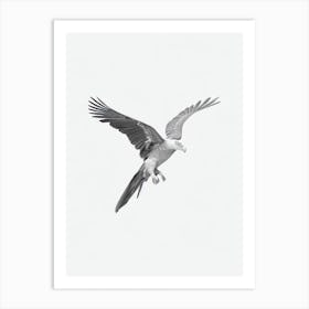 California Condor B&W Pencil Drawing 1 Bird Art Print