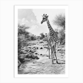 Giraffe In The River Pencil Drawing 2 Art Print