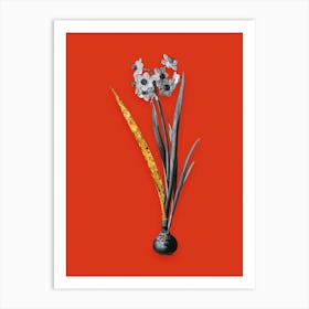 Vintage Daffodil Black and White Gold Leaf Floral Art on Tomato Red n.0733 Art Print