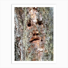 Face On A Tree Art Print