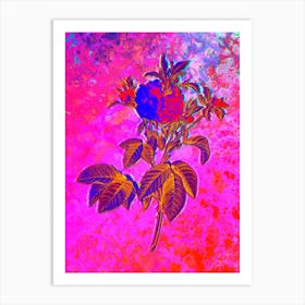 Pink Agatha Rose Botanical in Acid Neon Pink Green and Blue n.0184 Art Print