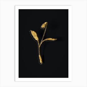 Vintage Erythronium Botanical in Gold on Black n.0104 Art Print