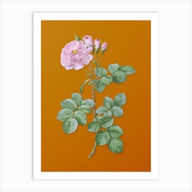 Vintage Damask Rose Botanical on Sunset Orange Art Print