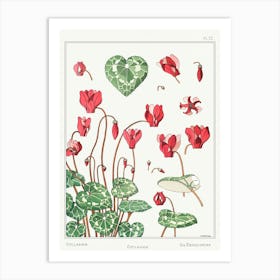 Cyclamen From The Plant And Its Ornamental Applications (1896), Maurice Pillard Verneuil Art Print