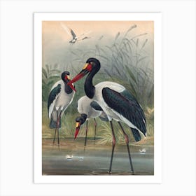 Vintage Three Storks Art Print