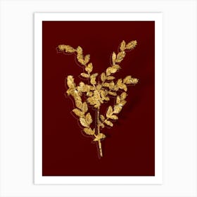 Vintage Creeping Willow Botanical in Gold on Red n.0354 Art Print