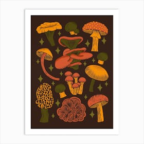 Texas Mushrooms   Dark Multicolor Art Print