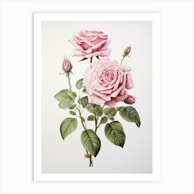 Roses Flower Vintage Botanical 3 Art Print