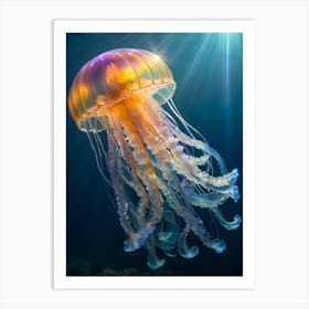 Jellyfish 8 Art Print