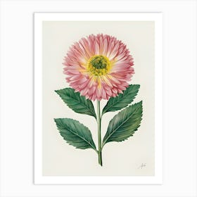 Chrysanthemum 1 Art Print