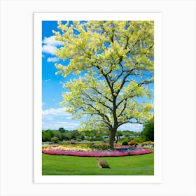 Tulip Tree Art Print