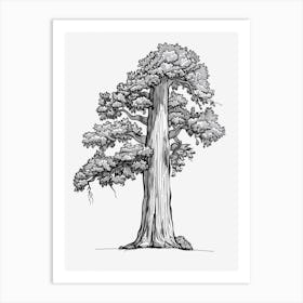 Sequoia Tree Minimalistic Drawing 2 Art Print