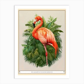 Greater Flamingo Rio Lagartos Yucatan Mexico Tropical Illustration 6 Poster Art Print