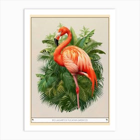 Greater Flamingo Rio Lagartos Yucatan Mexico Tropical Illustration 6 Poster Poster