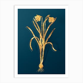 Vintage Narcissus Candidissimus Botanical in Gold on Teal Blue n.0247 Art Print