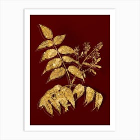 Vintage Tree of Heaven Botanical in Gold on Red n.0578 Art Print