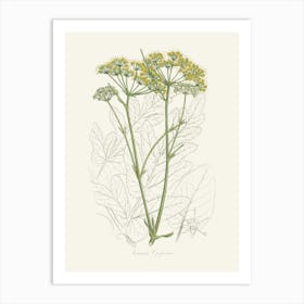 Vintage Botanical John Stephenson and James Morss Churchill Art Print_2731684 Art Print