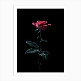 Black Rose 2 Art Print