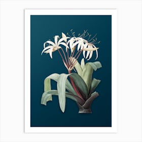 Vintage Crinum Erubescens Botanical Art on Teal Blue n.0943 Art Print