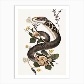 Red Tailed Boa Snake Gold And Black Art Print