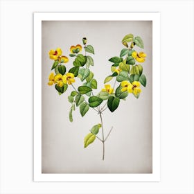 Vintage Platilobium Botanical on Parchment n.0003 Art Print