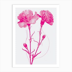 Hot Pink Carnations 1 Art Print