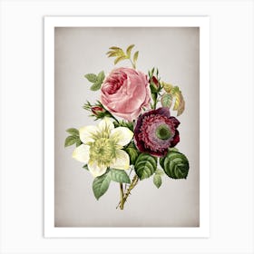 Vintage Anemone Rose Botanical on Parchment n.0277 Art Print