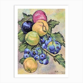 Gooseberry Vintage Sketch Fruit Art Print